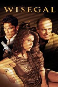 Wisegal 2008 one on netflix