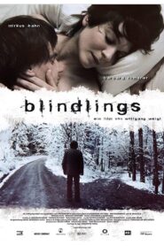 Blind Spot 2009 one on netflix