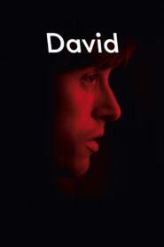 David 2015 one on netflix
