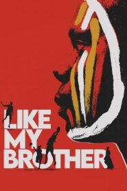Like My Brother 2024 one on netflix