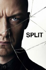 Split 2017 one on netflix