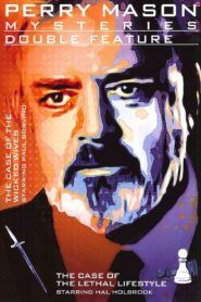 Perry Mason: The Case of the Wicked Wives 1993 one on netflix