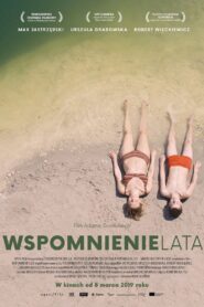 Memories of Summer 2016 one on netflix
