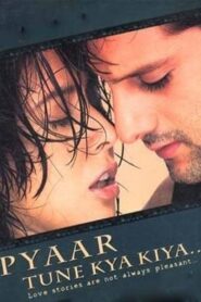 Pyaar Tune Kya Kiya 2001 one on netflix