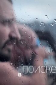 In Search 2012 one on netflix
