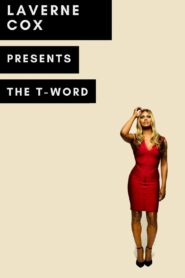 The T Word 2014 one on netflix