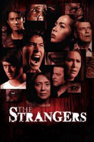 The Strangers 2012 one on netflix