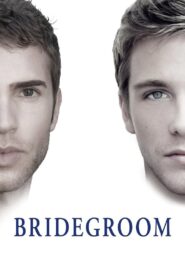 Bridegroom 2013 one on netflix