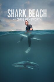Shark Beach with Chris Hemsworth 2021 one on netflix
