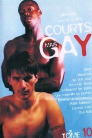 Courts mais Gay : Tome 10 2005 one on netflix