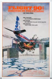 Flight 90: Disaster on the Potomac 1984 one on netflix
