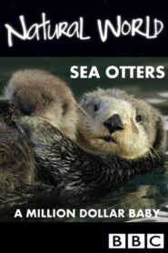 Sea Otters: A Million Dollar Baby 2010 one on netflix