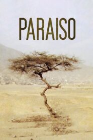 Paraiso 2009 one on netflix