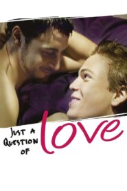 Just a Question of Love 2000 one on netflix