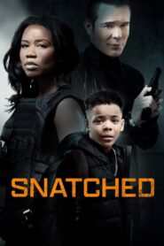 Snatched 2024 one on netflix