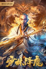 Shaolin Conquering Demons 2020 one on netflix