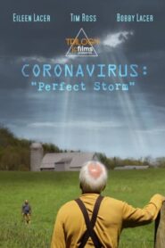 Coronavirus: Perfect Storm 2020 one on netflix