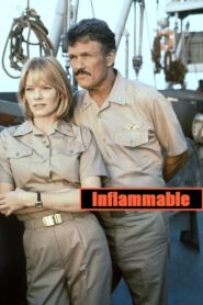Inflammable 1995 one on netflix