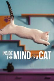 Inside the Mind of a Cat 2022 one on netflix