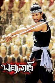 Badrinath 2011 one on netflix