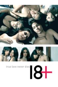 18+ : True Love Never Dies 2010 one on netflix