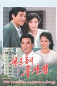 Two Families In Haeun-Dong 1996 one on netflix