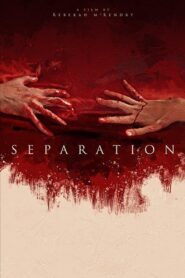 Separation 2020 one on netflix