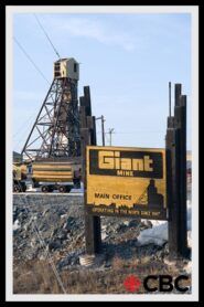 Giant Mine 1996 one on netflix