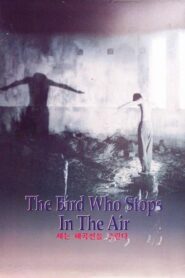 The Bird Who Stops in the Air 2002 one on netflix