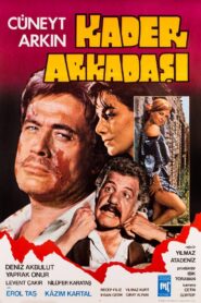 Kader Arkadaşı 1981 one on netflix