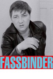 Fassbinder 2015 one on netflix