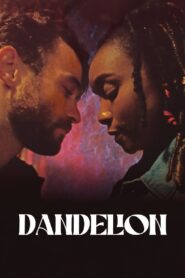 Dandelion 2024 one on netflix