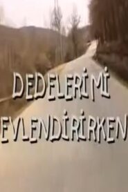 Dedelerimi Evlendirirken 2000 one on netflix