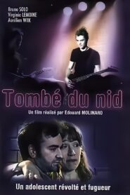 Tombé du nid 1999 one on netflix