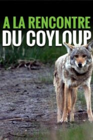 A la rencontre du coyloup 2013 one on netflix