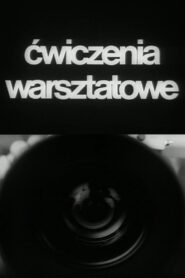 Workshop Exercises 1986 one on netflix