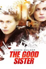 The Good Sister 2014 one on netflix