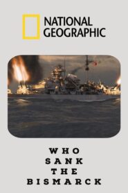 Who Sank The Bismarck 2010 one on netflix
