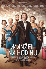 Manžel na hodinu 2016 one on netflix