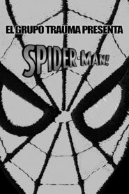 Spider-Man! 1993 one on netflix