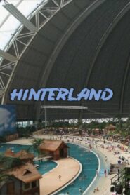 Hinterland 2009 one on netflix