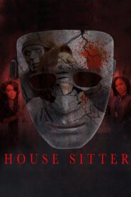 The House Sitter 2022 one on netflix