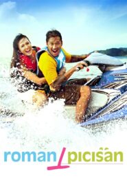Roman Picisan 2010 one on netflix