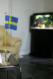 Sverigedemokraterna – vägen till riksdagen 2010 one on netflix