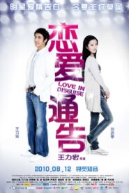 Love in Disguise 2010 one on netflix