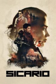 Sicario 2015 one on netflix