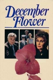 December Flower 1984 one on netflix