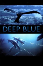Deep Blue 2003 one on netflix