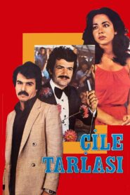 Çile Tarlası 1980 one on netflix