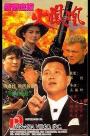 Fire Phoenix 1990 one on netflix